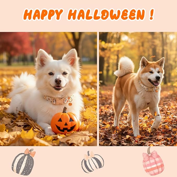 Halloween Dog Collars, Fall Dog Collar for Dogs, Fun Multi-Color Pumpkin Dog Collars for Large Dogs, Adjustable Cotton Large Dog Collar Puppy Collar for Halloween & Thanksgiving