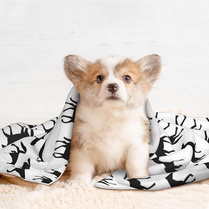 Pet Blanket for Couches and Beds, Abstract Horse, Reversible Double Sided Plush Design with Soft Bumpy Texture and Smooth Surface, Furniture Protector