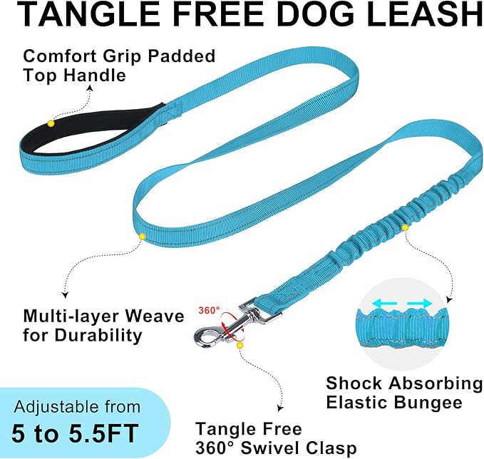 BEAUTYZOO Dog Harness for Small Dogs, No Pull Dog Harness and Leash Set, Soft Escape Proof Puppy Vest Harness with Handle, Reflective Lightweight Step in Harness for Girl Boy Dogs, Blue S