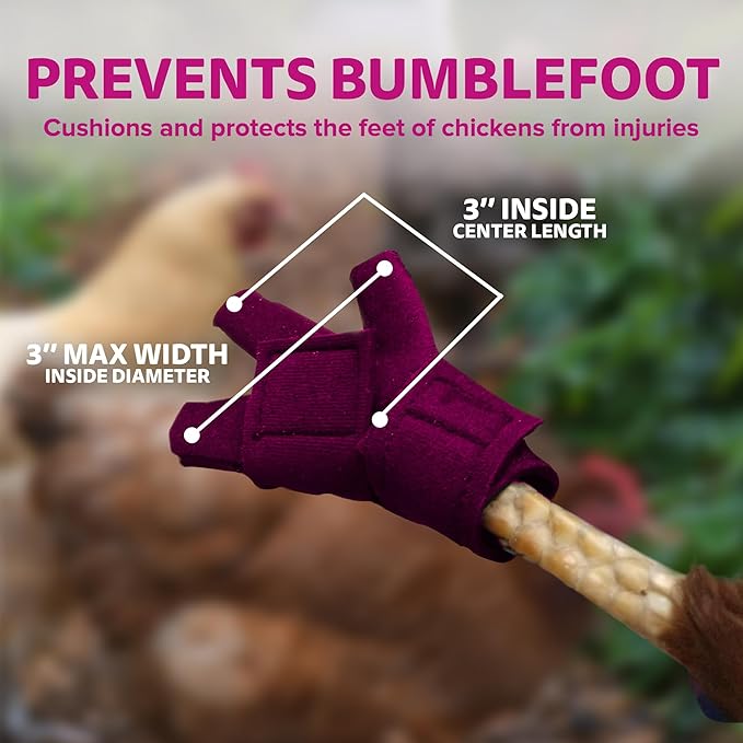 Chicken Shoes for Injured Feet – Protective Neoprene Footwear for Chicken, Open-Toe Design for Bumblefoot Relief, Made in USA - Standard, 3" Max. Inside Width, Pink