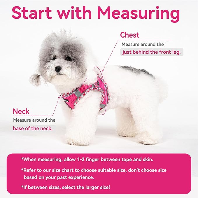 Petank Dog Harness for Small Medium Dogs No Pull, Puppy Harness and Leash Set for Walking, Running, Training, Small Dog Harness, Medium Dog Harness (Rose Red, S)