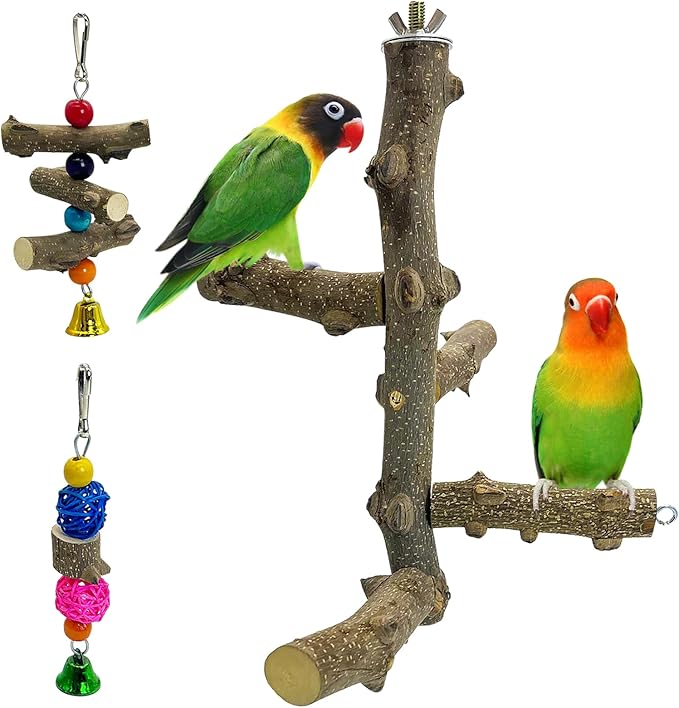 Hamiledyi Bird Perch Stand Toy Natural Wood Bird Perch Stand Birds Toy with Rotating Balls Toys for Parakeets Cockatiels Conures Budgies Finches Love Birds
