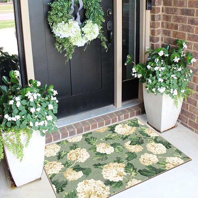 Front Door Mat Outside Entrance