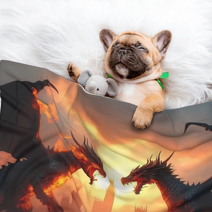 Castle Cool Fire Dragon Print Soft Plush Pet Blanket, Washable Dog Blanket, Cat Fleece Throw, Puppy Bed Crate Mat & Sofa Couch Protector - Large