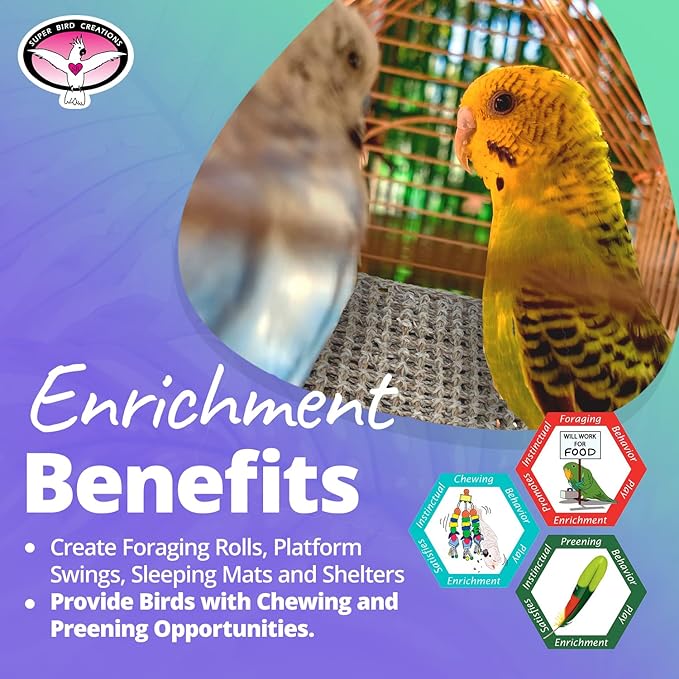 Super Bird Creations SB50003 Seagrass Mat for Cage Decor, Pet Enrichment and Boredom Relief - Versatile Toy-Making Base - Ideal for Parrots - Small to Large Birds & Reptiles - 10"x10" (1 Pack)
