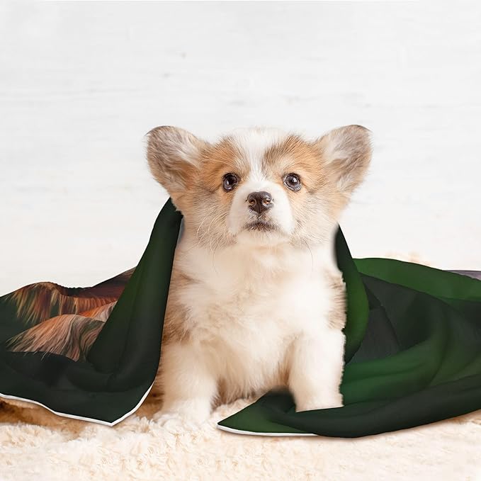 Waterproof Dog Blanket Soft Pet Blanket for Puppy Cat, Fleece Cat Throw Blankets for Furniture Bed Couch Sofa Reversible - Squirrels Eating Peanuts On The Tree