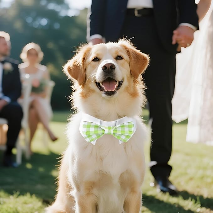 Segarty Dog Bow Tie for Neck Girths 12.6-15.7 inch, Adjustable Green Plaid Bowtie Collar for Dogs, Pet Neck Tie Tuxedo Comfortable Cotton Pets Grooming Accessories for Wedding Holiday Birthday Party