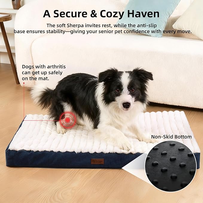 Orthopedic Dog Bed with Firm High-Density Egg Crate Foam Mattress,Soft Short Plush Surface Pet Beds,Machine Washable with Removable Cover & Non-Slip Bottom for Small Breeds(Blue, 23"L x 17"W x 3"H)