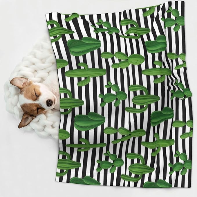 Two Sided Pet Cuddler Blanket for Anxiety Calming, Cactus and Stripes, Reversible Plush Design with Bubble Dot Pattern Provides Familiar Surface Anywhere