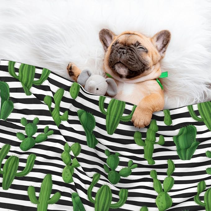 Pet Blanket for Travel and Home, Cactus and Stripes, Reversible Plush Dot Design with Soft Grip Texture on One Side Perfect for Car Seats Moving Vehicles