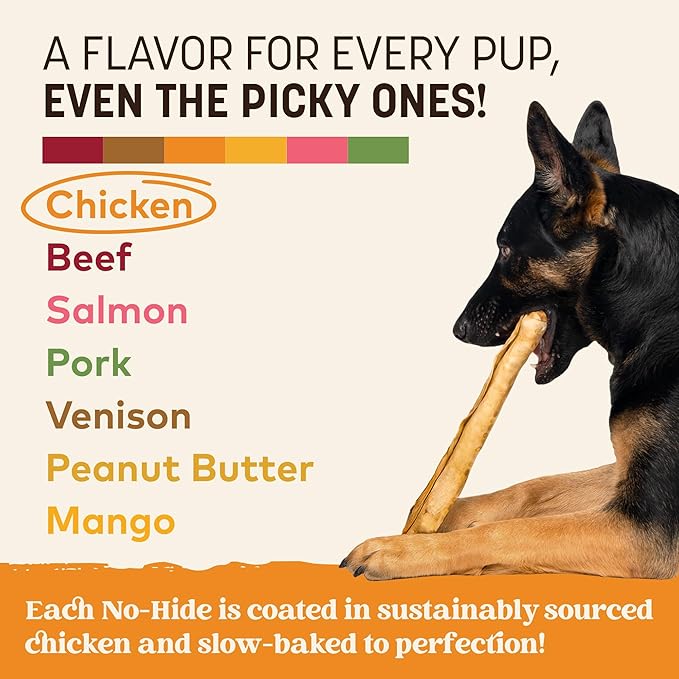 Earth Animal No Hide Chews - Long Lasting Rawhide Free Large Dog Chews Rolls, Chicken - 2 Count