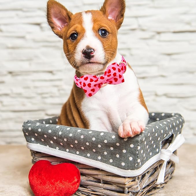 Lionheart glory Dog Bow Collar Valentine's Day Dog Collar for Medium Dogs, Hearts Dog Collars with Bowtie Spring Dog Collar Pet Collar Bows