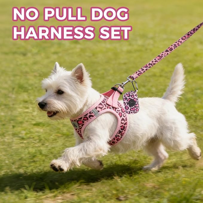 PAWCHIE Dog Harness and Leash Set,Step in No Pull Soft Pet Harness, Reflective Adjustable Puppy Vest for Small Medium Dogs Cats,No Choke Harness Vest with Poop Bag Holder for Walking,Running,Leopard M