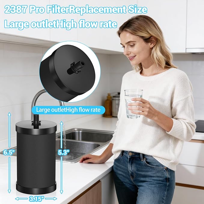 2387 Pro Filter Replacement Compatible
