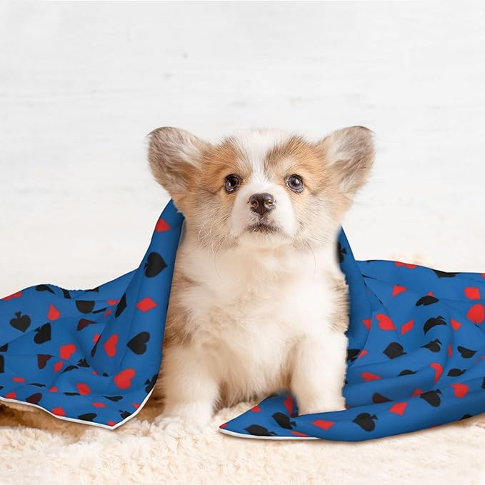Reversible Plush Dot Pet Blanket for Dogs and Cats, Poker Playing Cards, Ultra Soft Two Sided Design with Warm Fuzzy Side and Smooth Side for Comfort