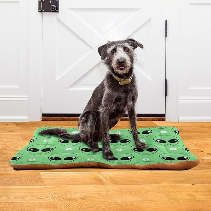 Green Alien Cartoons Daisy Flower Pet Bed Cute Dog Bed Mat Absorbing Non Slip Pad Pet Sleeping Mat for Small, Medium, and Large Dogs Puppy Cat 24 in x 18 in