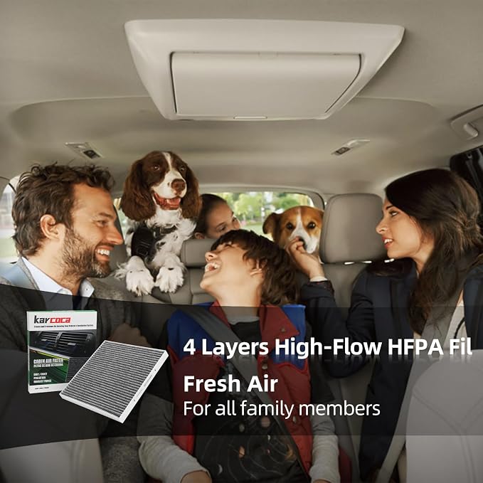 P609422 Cabin Air Filter With Activated Carbon Compatible with FREIGHTLINER