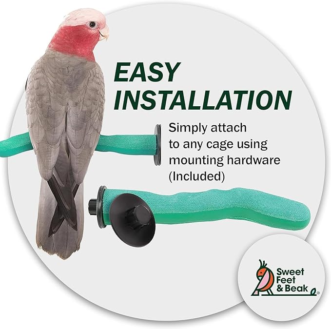 Sweet Feet & Beak Safety Pumice Bird Perch, Large 1-1/2" X 12", Blue - Lightweight Grinding Bird Perches for Cage - Bird Nail Trimming Perch for Healthy Beak & Feet - Multi-Size & Color Parrot Stand