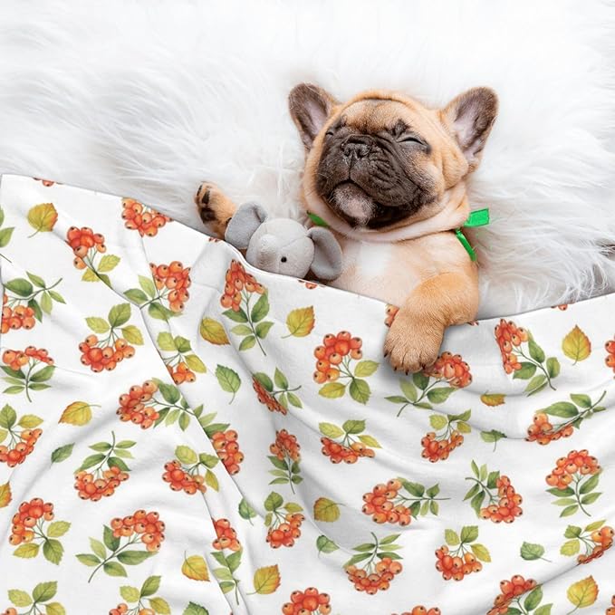 Dog and Cat Blanket in One, Flower Berries Autumn Orange Art Pattern, Double Sided Plush Throw with Raised Dot Pattern on One Side and Flat Velvet on Other for Variety