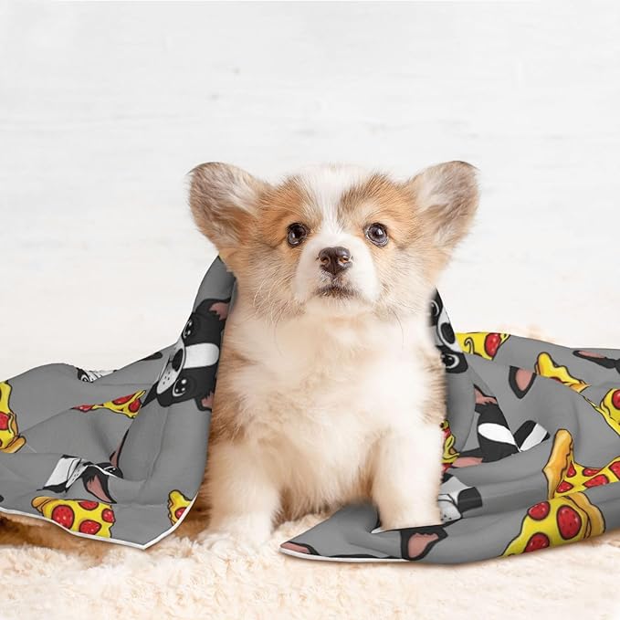 Reversible Plush Throw for Dogs and Cats, Grey Boston Terrier Dog Pizza, Double Sided Blanket with Nubby Dot Side and Sleek Side Ideal for Cuddling Nesting Security