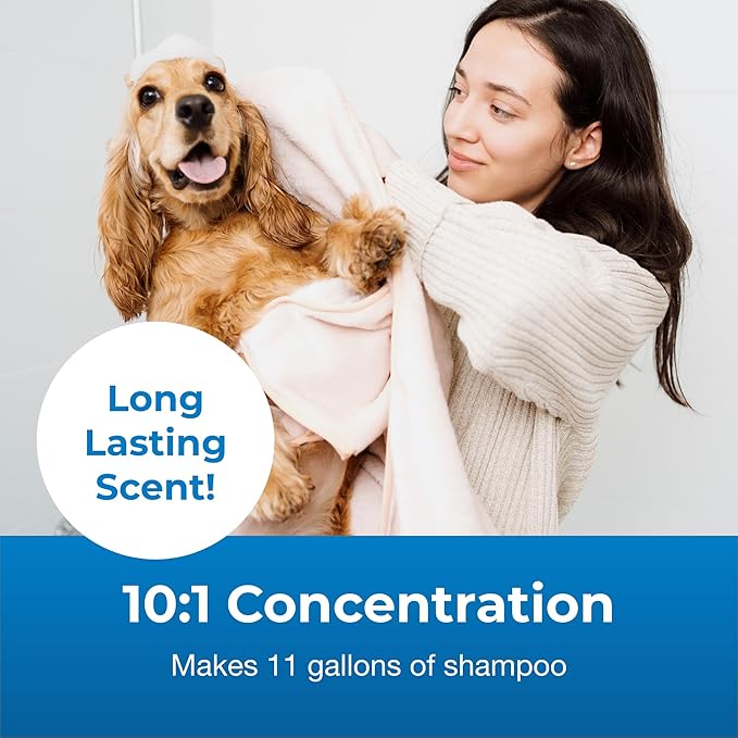 PetAg Fresh ’n Clean Oatmeal ’n Baking Soda Shampoo - Tropical Fresh Scent (10:1 Concentrate) - 1 Gallon - Nurtures Dry, Itchy Skin with Vitamin E & Aloe - Strengthens & Repairs - Soap Free