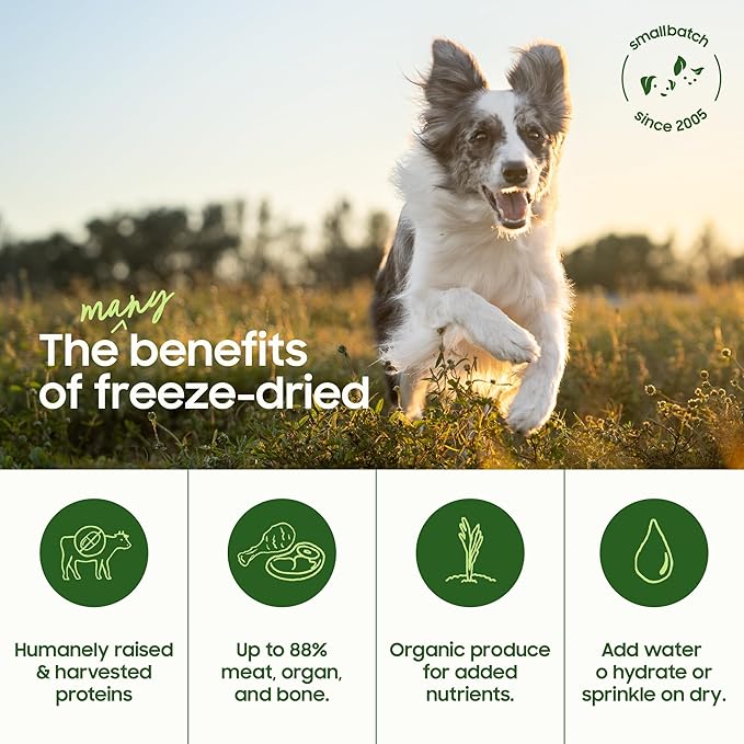 smallbatch Pets Freeze-Dried Raw Dog Food – Beef Recipe – 20oz Small Bites – Grain Free, High Protein, Complete Meal or Topper – Made in USA with Organic Produce & Humanely Raised (20 Oz, Beef)