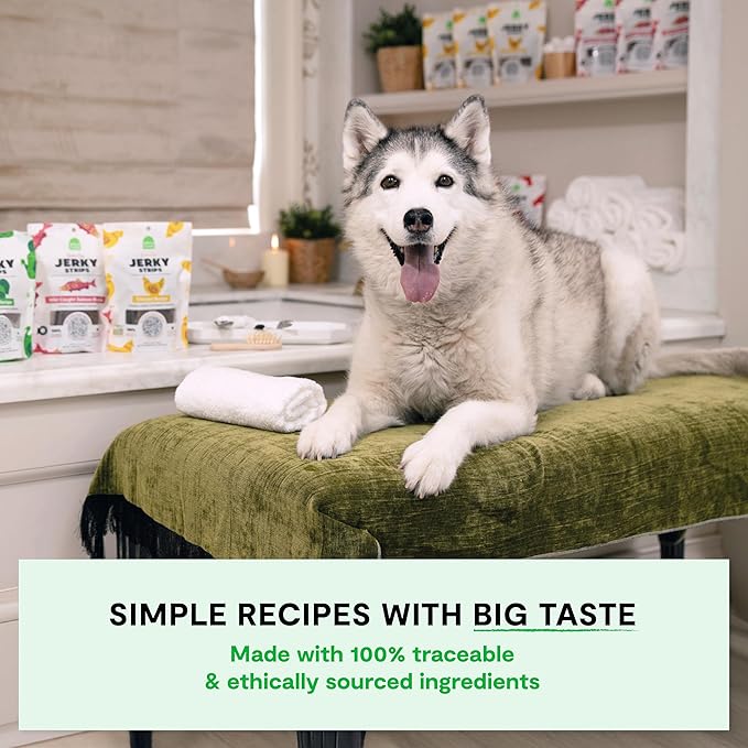 Open Farm, Dog Jerky Treats, Soft & Chewy Oven-Baked Jerky Strips Made with Ethically & Sustainably Sourced Ingredients, Protein Packed Dog Treats, Grain-Free Chicken Recipe, 5.6oz Pouch