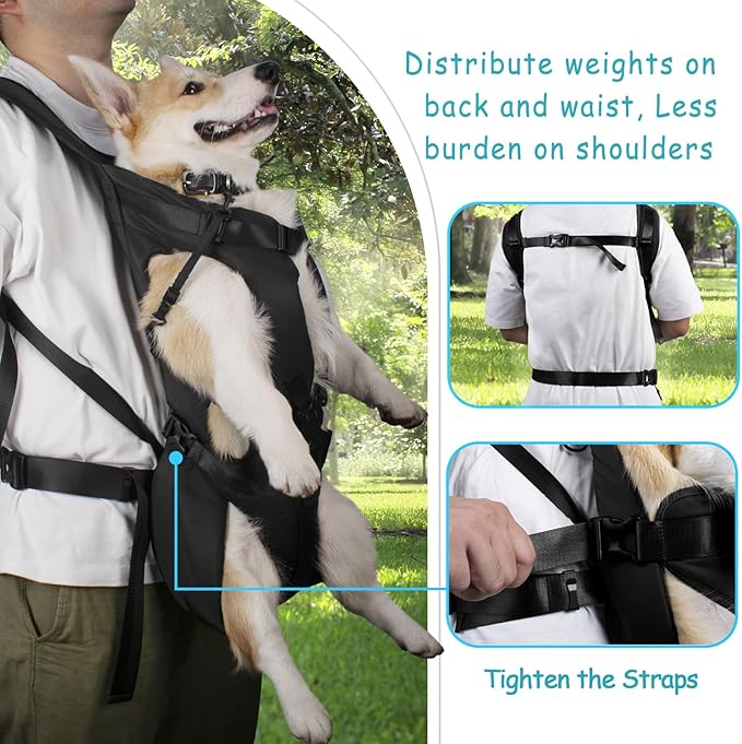 PetBonus Pet Front Dog Carrier Backpacks, Adjustable Pet Backpack, Legs Out Easy-fit Puppy Chest Carrier for Medium Small Dogs, Hands Free for Hiking, Cycling (Black, XL)