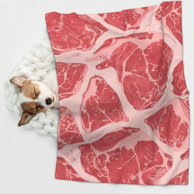 Waterproof Dog Blanket Soft Pet Blanket for Puppy Cat, Fleece Cat Throw Blankets for Furniture Bed Couch Sofa Reversible - Red Meat