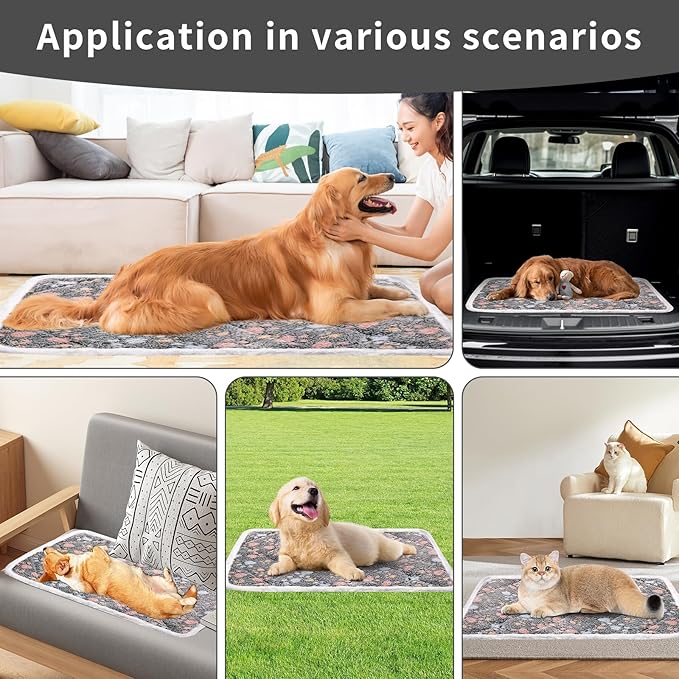 Dog Crate Mat, Soft Reversible Pet Bed Pad with Short Plush, 45x60cm, 2cm Thick, Machine Washable Mat for Small Dogs and Cats, Fits 60cm Crates