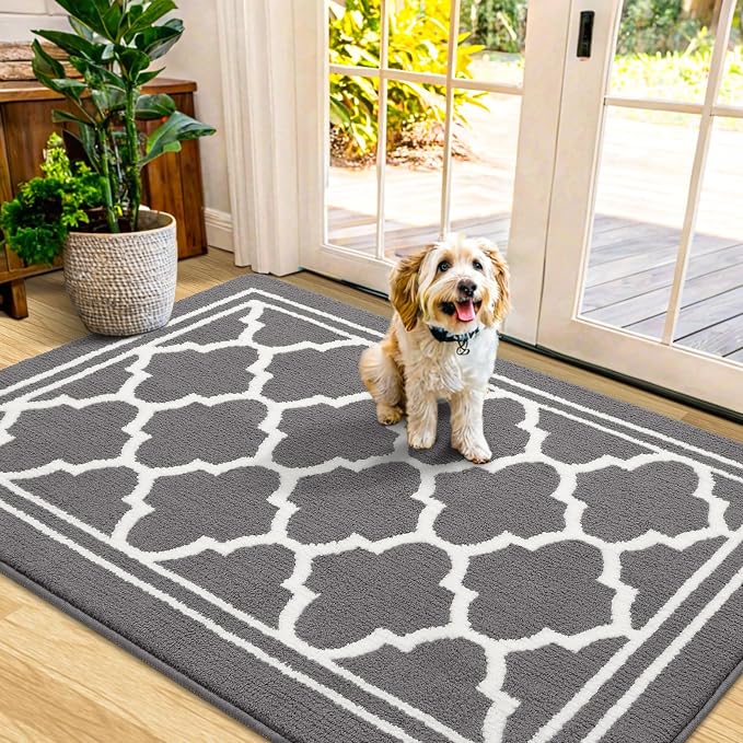 Buganda Indoor Door Mat, Dirt-Resistant and Absorbent Doormat, Low Profile