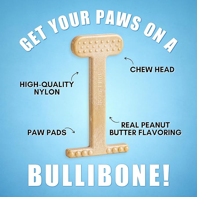 Bullibone Nylon Dog Chew Toy for Aggressive Chewers - Dental Hygiene Bone with Peanut Butter Flavor, Durable Tough Chew Toys for Large Dogs, Indestructible Dog Bone - Single