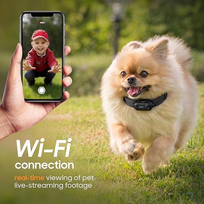 4K UHD Dog& Cat Pet Camera Collar, Video Recorder with Phone App View, Outdoor & Indoor POV Action Cam for Cat & Dogs Black - 2 Adjustable Black Collars (XS 8-12 in, M 14-20 in), 128g