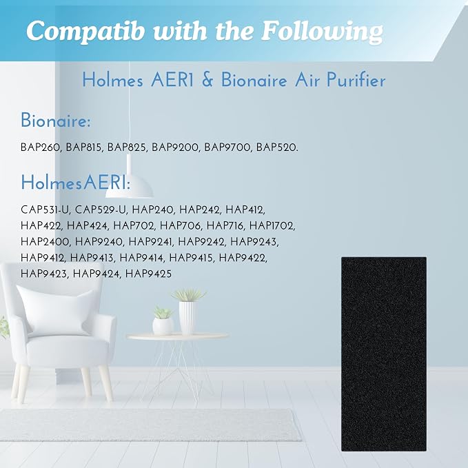 Nispira AER1 Filter Replacement Carbon Booster