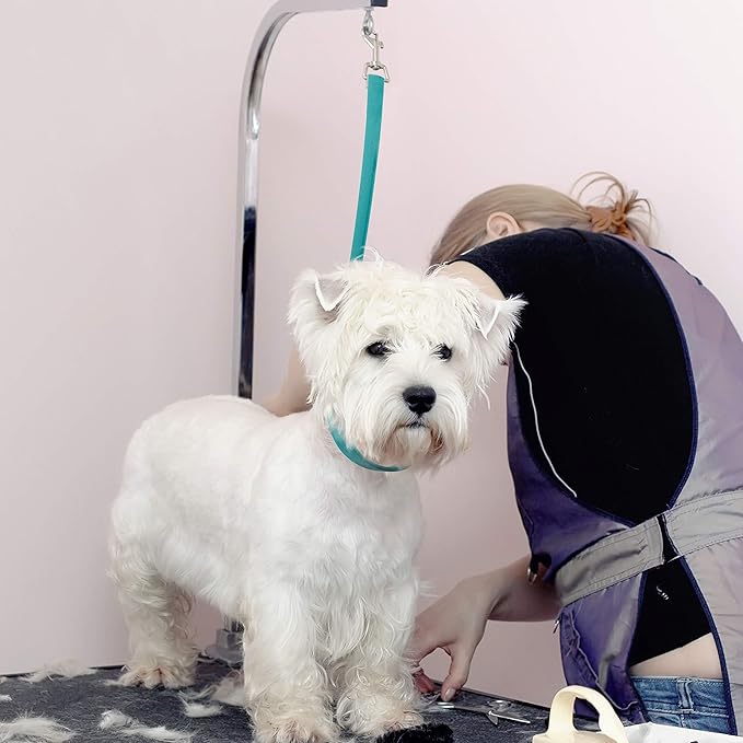 Jelly Pet Grooming Loop Slip Style (1/2" x 30", Lime Green) | Made in The USA