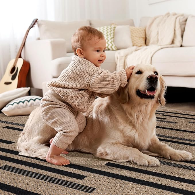 Tangsoo Modern Easy Jute 2x4 Rug