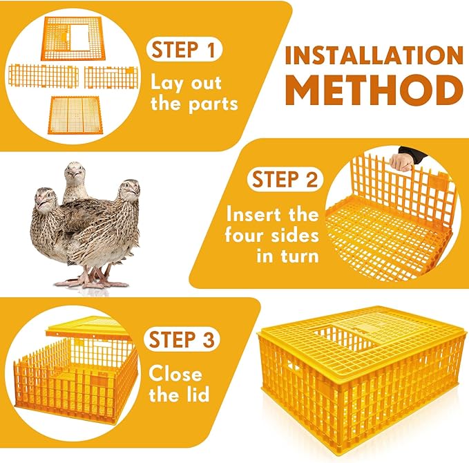 Sintuff 6 Pcs Poultry Carrier Crate Plastic Chicken Transport Cage Bird Carriers Chickens Carrier Travel Crate Basket Box for Poultry Chicken Bird Duck Goose, 29.5 x 21.7 x 11.6 Inch