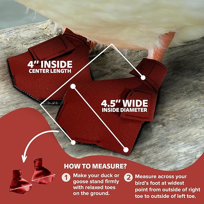 Duck Shoes for Injured Feet – Protective Neoprene Footwear for Ducks, Protective Shoes for Birds with Injured feet, Bumblefoot Relief - Large, 4.5” Max. Inside Width - Red
