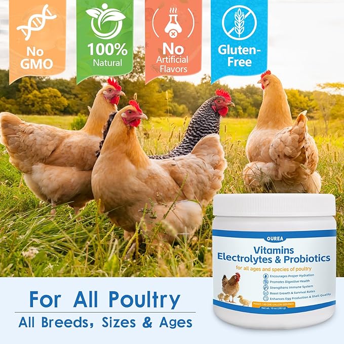 Chicken Vitamin, Electrolyte & Probiotic Supplement - Support Hydration Digestion Immunity Egg Production – Poultry Supplement for Chickens, Ducks, and All Ages of Birds – All-Season Use,10oz Powder
