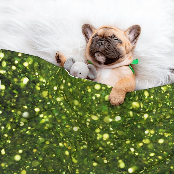Waterproof Dog Blanket Soft Pet Blanket for Puppy Cat, Fleece Cat Throw Blankets for Furniture Bed Couch Sofa Reversible - Green Glitter Sparkle