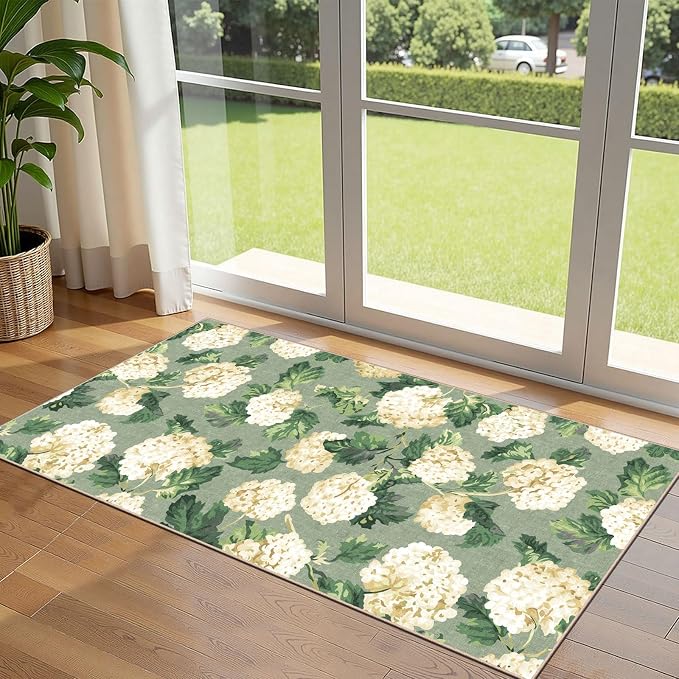 Front Door Mat Indoor Entrance