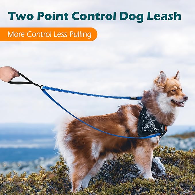 PetBonus Two Point Control Dog Leash, Works with No Pull Harnesses, No Tangle Training Leashes, Soft Padded and Reflective Walking Lead, Converts to Single Lead for Medium Large Dogs (Blue)