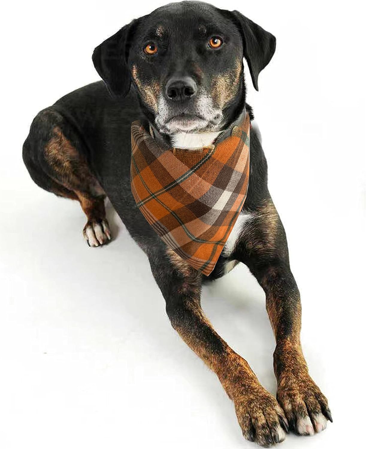 Realeaf Fall Halloween Dog Bandanas 2 Pack, Orange Plaid Pet Scarf for Boy and Girl, Premium Durable Fabric, Holiday Thanksgiving Bandana for Large and Extra Large Dogs (X-Large)