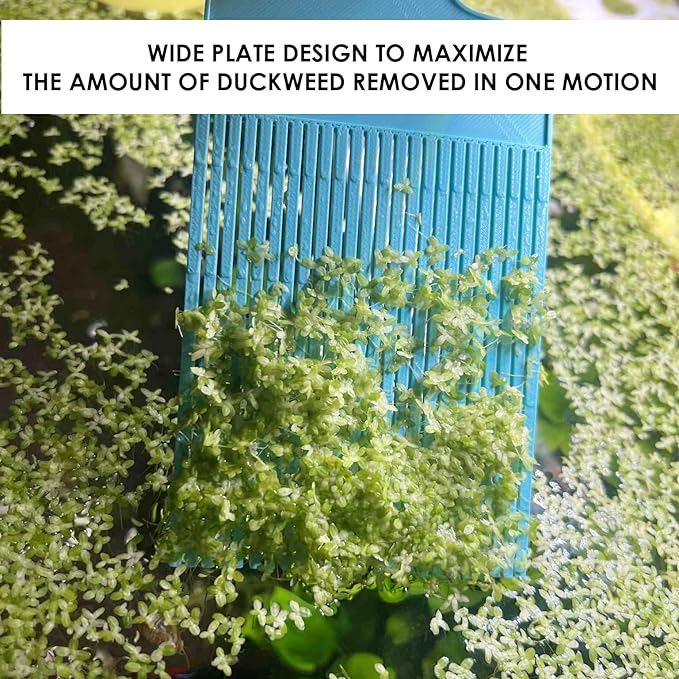 Aquarium Duckweed Removal Tool, 6.5 x 3 inch Floating Plant Comb Spatula, Aquatic Tank Cleaning Tool