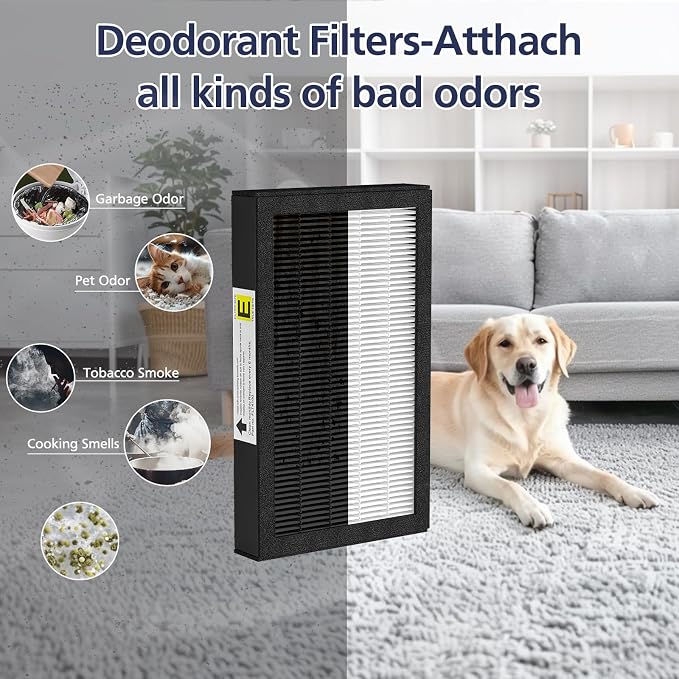 FLT4100 True HEPA Replacement Filter Size E