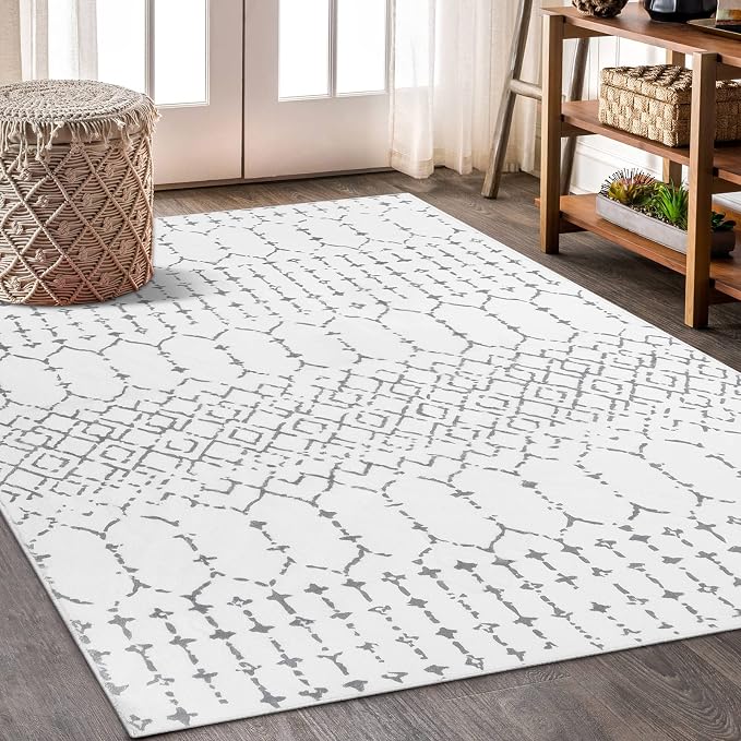 Lahome Moroccan Washable Living Room Rug 3x5 Area Rugs