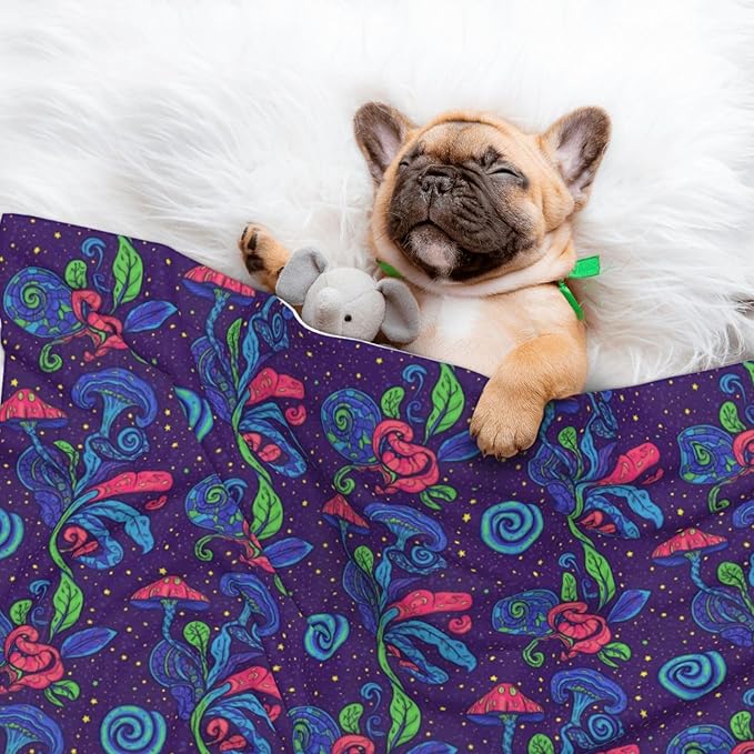 Pet Blanket for Travel and Home, Colorful Doodle Surreal Landscape Fantastic Mushroom, Reversible Plush Dot Design with Soft Grip Texture on One Side Perfect for Car Seats Moving Vehicles