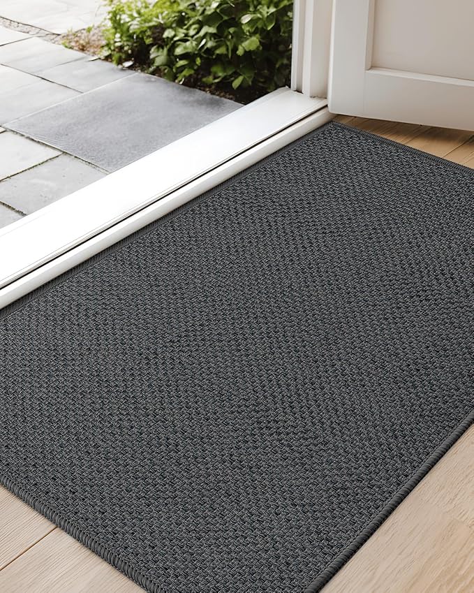 Color&Geometry Ultra-Thin Indoor Door Mat, Washable Doormat