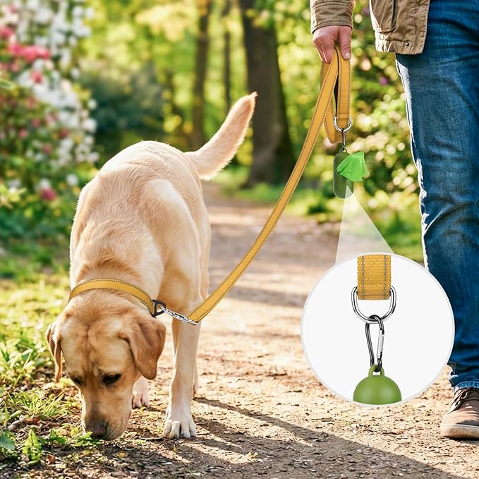 Joytale Dog Leash, 5 FT Double-Sided Reflective, Padded Handle Nylon Heavy Duty Leashes for Medium & Large Dogs Walking, Khaki