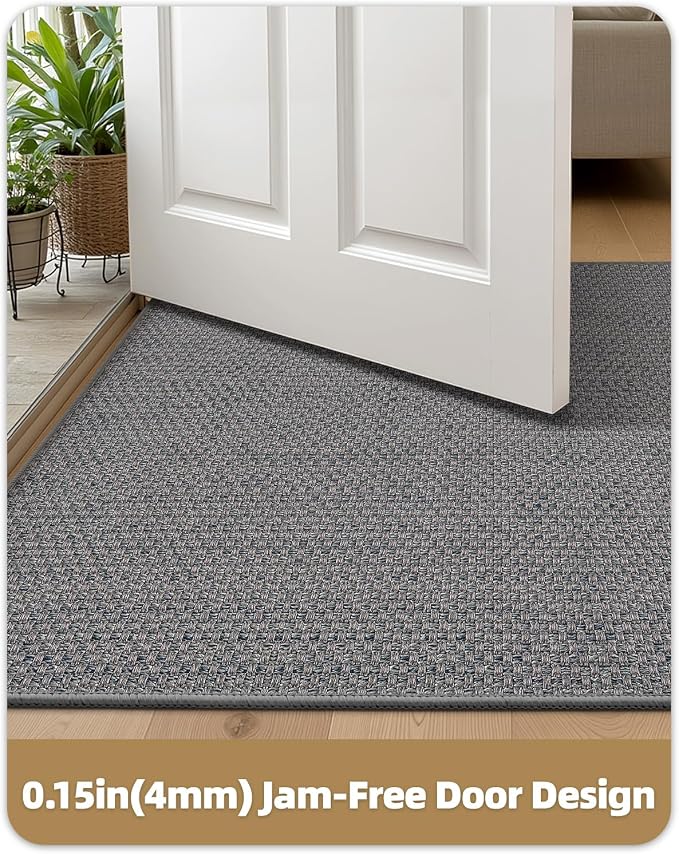 Color&Geometry Ultra-Thin Indoor Door Mat, Washable Doormat